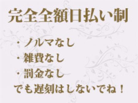 安心・安全・高収入をお約束