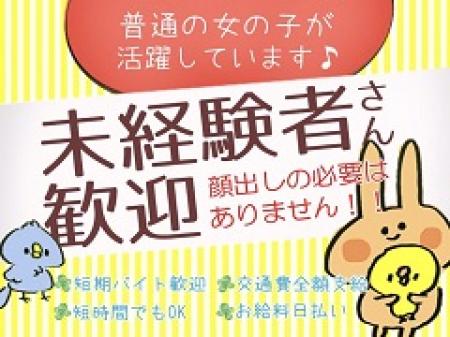 未経験スタートにぴったり♪