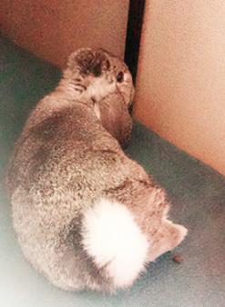 普通のヘルスサービスです!