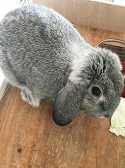 鶯谷周辺でのお仕事がほとんどです