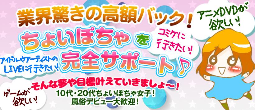 ぷよぷよの求人