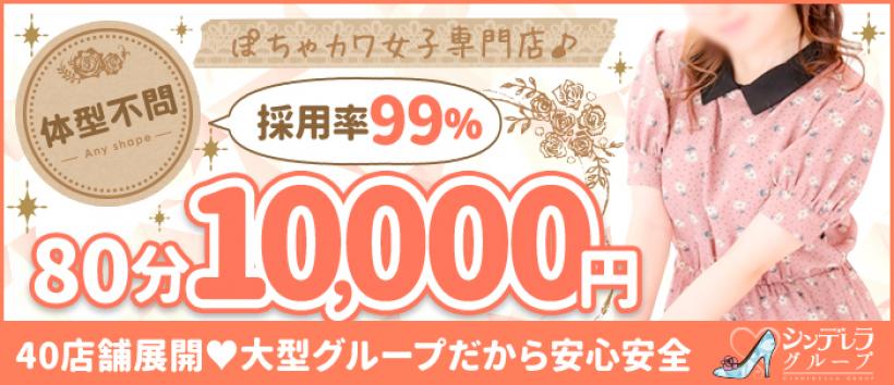 横浜ぱんぷきん(シンデレラグループ)の求人