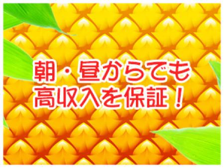 朝・昼からでも高収入を保証!