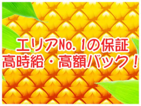 エリアNo.1の保証された高時給、高額バック!