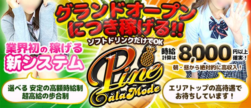 パインアラモード