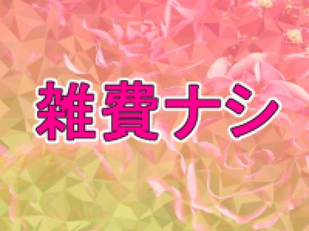 雑費なんてありません!