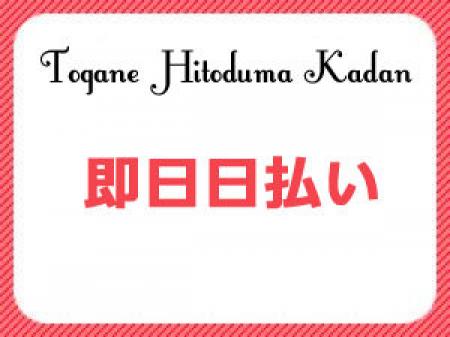 完全日払い制!