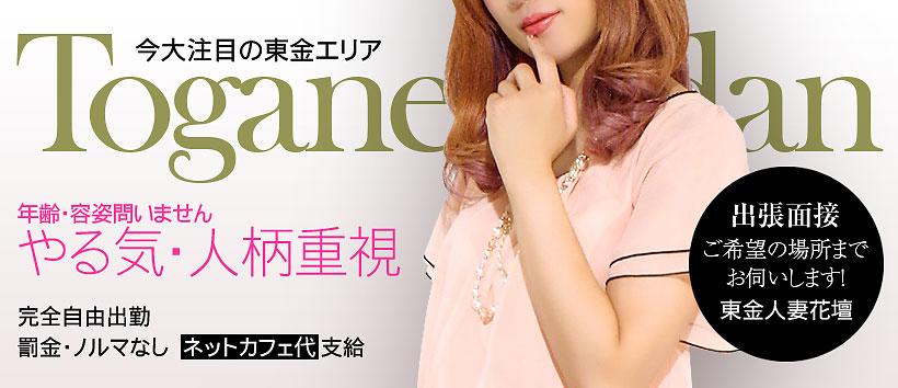 東金人妻花壇