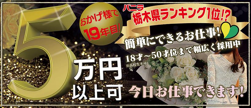 THE・TRYの求人