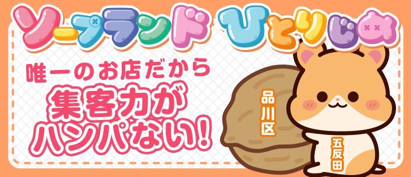 ハピネス東京の求人
