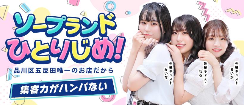 ハピネス東京の求人