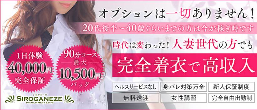 シロガネーゼの求人