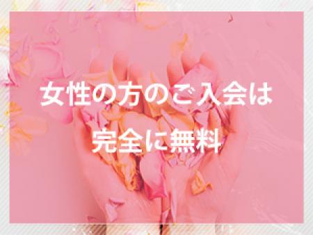 完全無料!