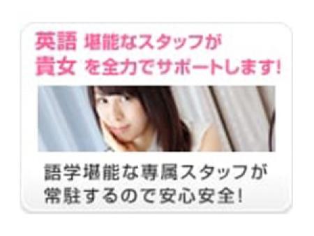 英語堪能なスタッフがアナタを徹底サポート
