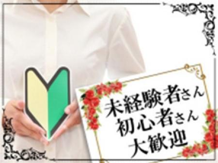 未経験の方でも問題ありません!