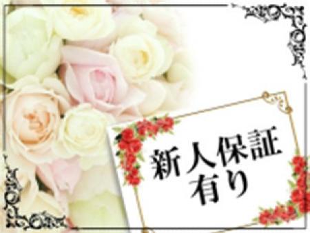 新人保証あり!