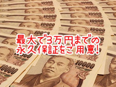 稼げます!