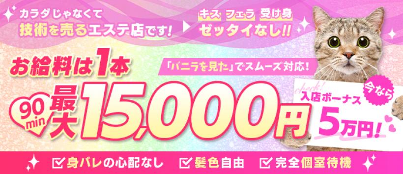 マイクロビキニSPA TOKYO 新宿の求人