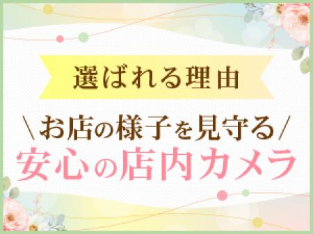 貴女の安全を脅かす刺客は見逃しません。