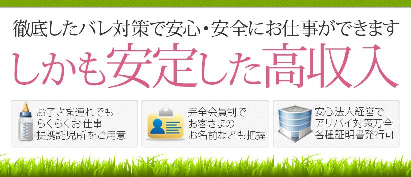 マリーマリーの求人