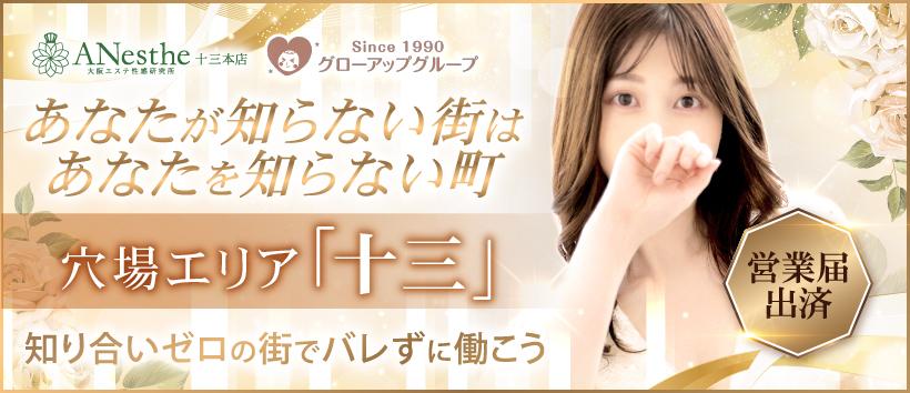 ANesthe(アネステ)十三本店の求人