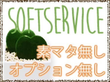 【ソフトサービス】