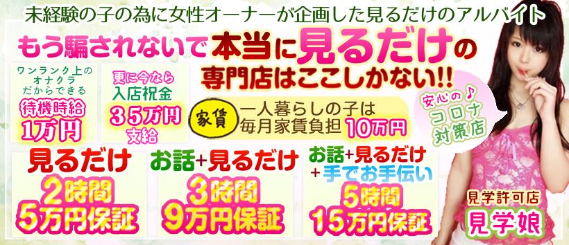 見学専門店 見学娘の求人