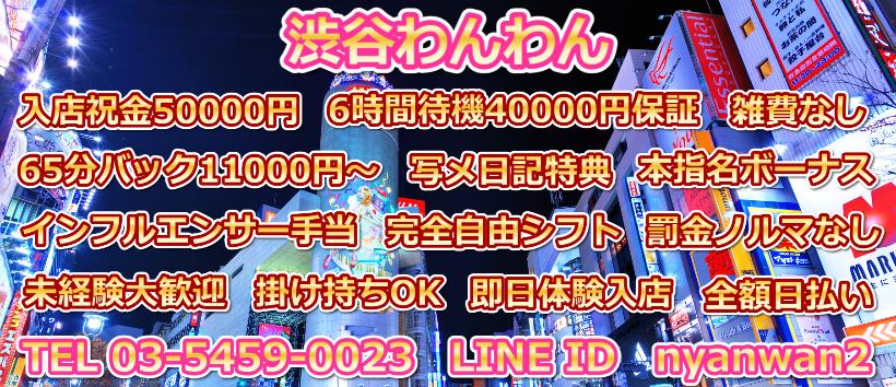 渋谷わんわんの求人