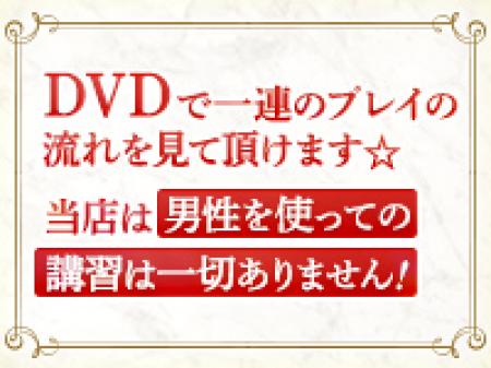 お仕事のマニュアル完備!