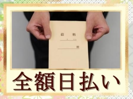 完全日払い制