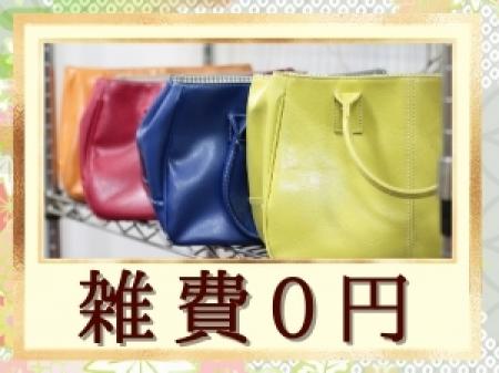 引きものなし!