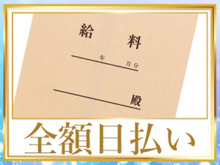 完全日払い制