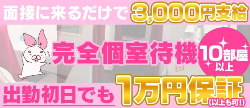 moemuの求人