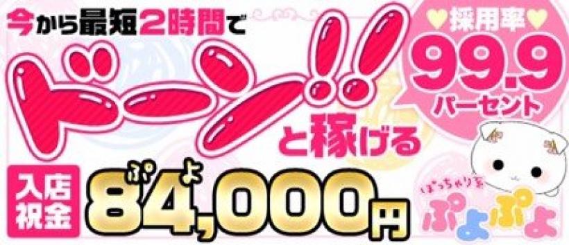 ぽっちゃり系♡ぷよぷよ♡の求人