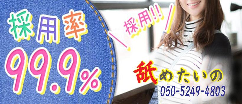 舐めたいのの求人
