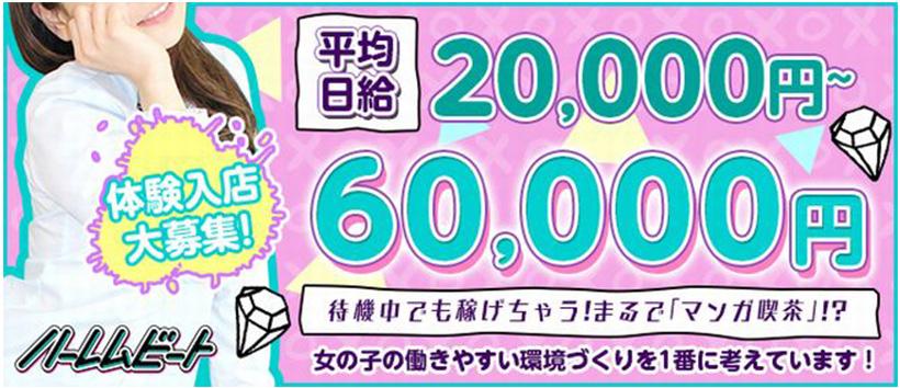 五反田ハーレムビートの求人