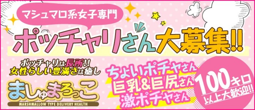 ましゅまろっこの求人