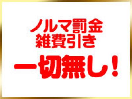女性の稼ぎやすさ、働き易さを追求しています♪