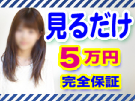 お仕事は見るだけ!5万円保証します。