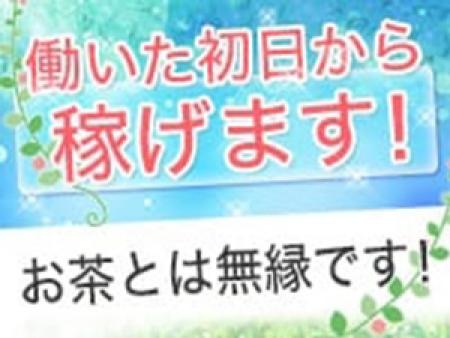 毎日がお給料日!