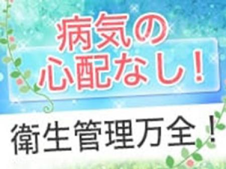 病気には細心の配慮をしておりますのでご安心下さい!