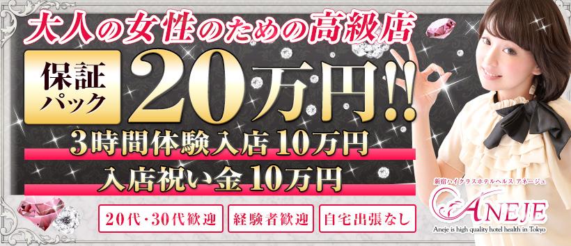 新宿アネージュ