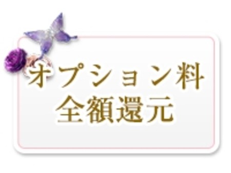 オプション料 全額還元