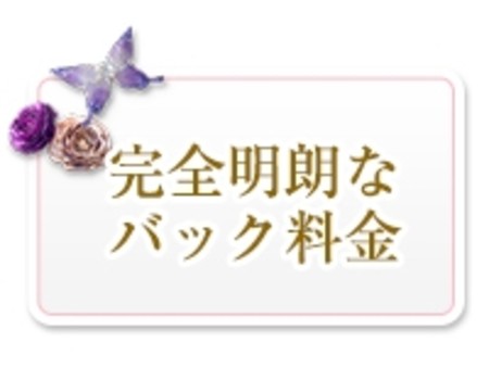 完全明朗なバック料金