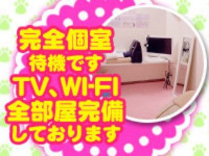TV、WIFI完備の完全個室あります!
