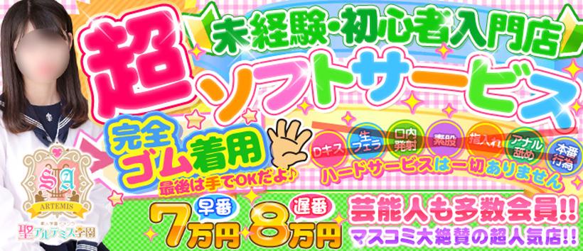 聖アルテミス学園の求人