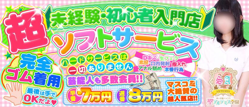 聖アルテミス学園