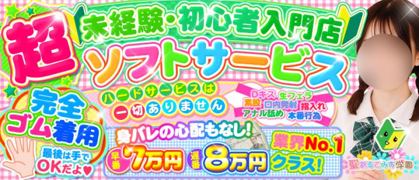 聖あるてみす学園の求人