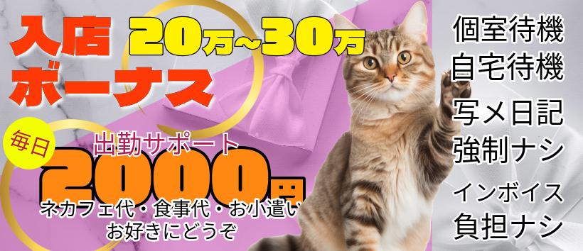 ミセスラウンジ東京の求人