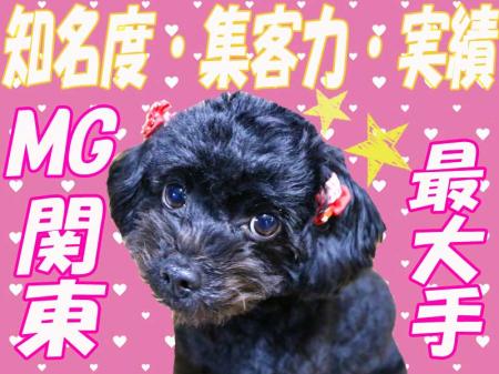 ★大手グループ店ならではの★